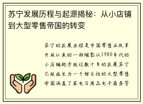 苏宁发展历程与起源揭秘：从小店铺到大型零售帝国的转变