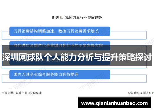 深圳网球队个人能力分析与提升策略探讨