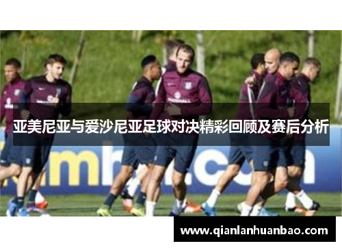 亚美尼亚与爱沙尼亚足球对决精彩回顾及赛后分析